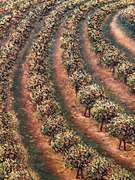 Textured Italian Style Landscape