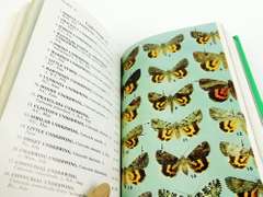 1984 Field Guide to the Moths, Eastern N. America