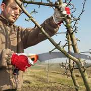 350mm Steel Sharp Blade 3 Sided Razor Teeth Curved Saw