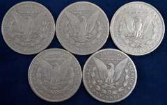 Lot Of 5 Morgan Silver Dollars, Circulated. In Display Box.