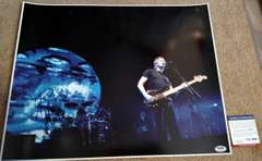 Pink Floyd Roger Waters Autographed Live 16x20 Concert Photo PSA/DNA UACC