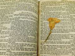 1828 Martin Luthers German Leather Bible