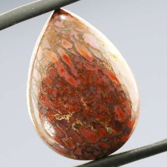 Marvelous 12.62ct cabochon cut from dinosaur bone