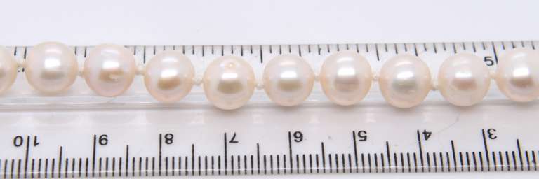 Fresh Water Pearl Bracelet with Sterling Silver Clasp