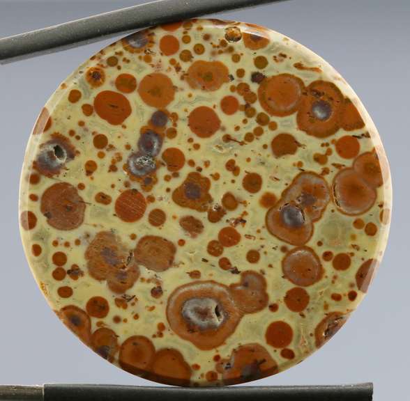 Striking 34.47ct Asteroid Jasper
