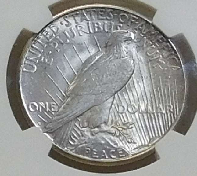 1922 Peace Dol  NGC Unc clnd