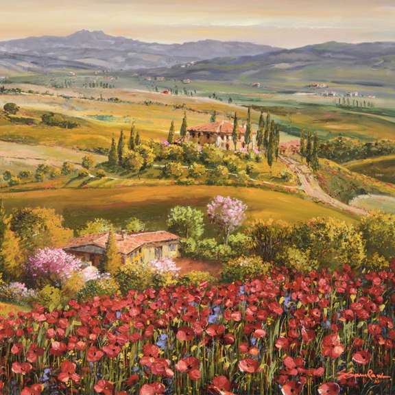 Tuscany Red Poppies