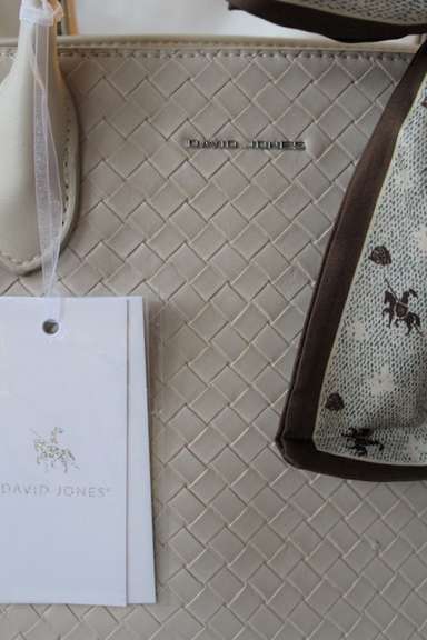 An Eye-catching Designer Bag By David Jones-Paris