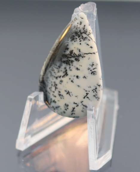 Exotic 10.61ct Turkish Dendrite Opal