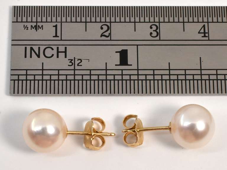 Classy Peal Stud Earrings in 14K YG