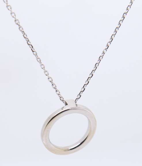 Favorite White Gold Circle Pendant on Chain