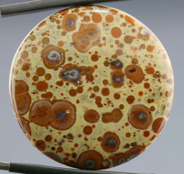 Striking 34.47ct Asteroid Jasper