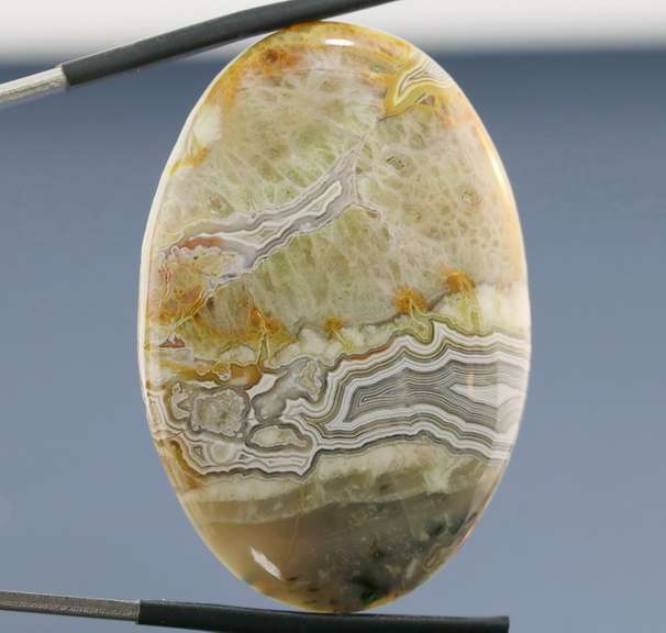 Highly figurative 61.92ct crazy lace Agate