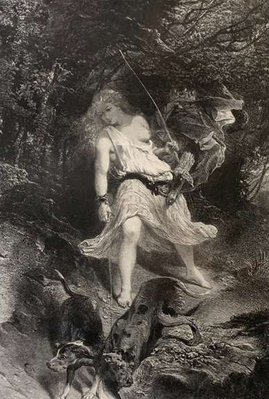 Framed 19th Century Vintage Lithograph