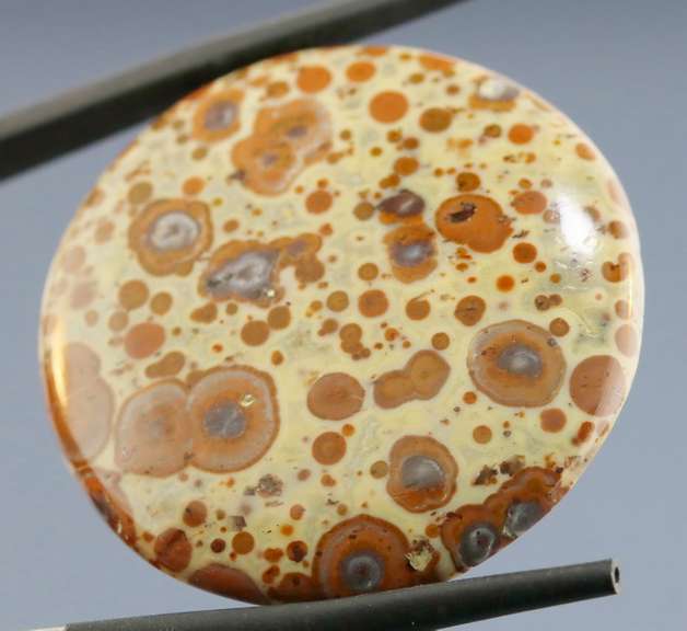 Striking 34.47ct Asteroid Jasper