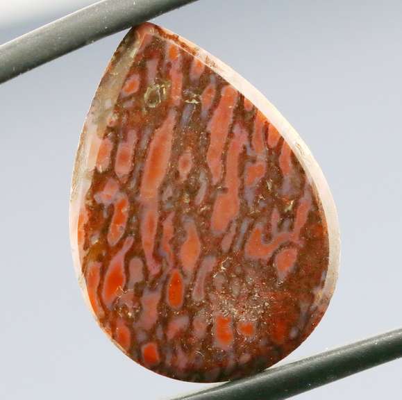 Marvelous 12.62ct cabochon cut from dinosaur bone