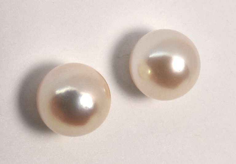 Classy Peal Stud Earrings in 14K YG