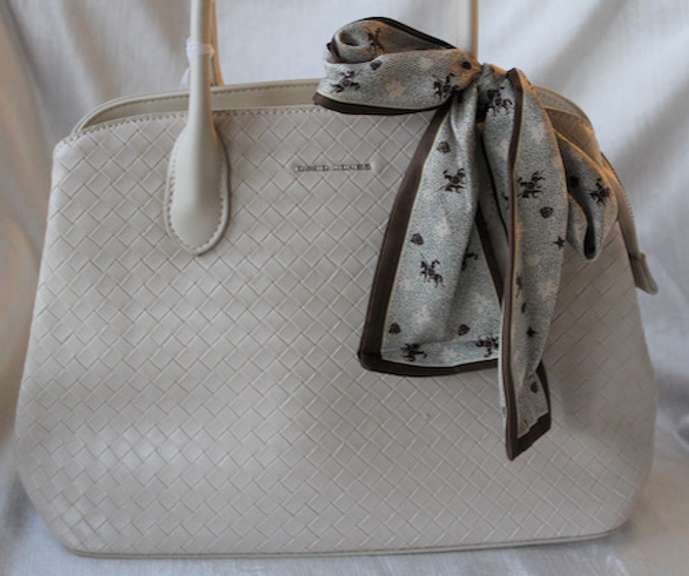 An Eye-catching Designer Bag By David Jones-Paris