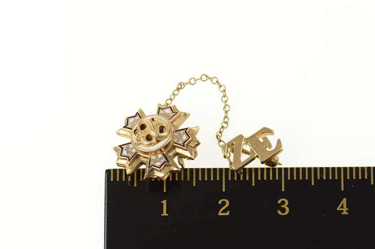 10K Yellow Gold Enamel Zeta Epsilon Fraternity Chain Lapel Pin/Brooch