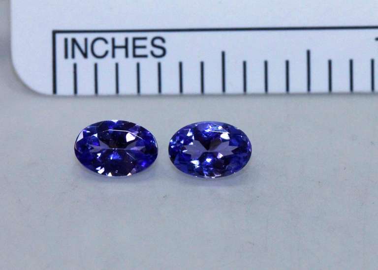 Glistening Tanzanite Pair