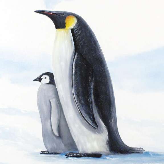 Antarctic Penguins
