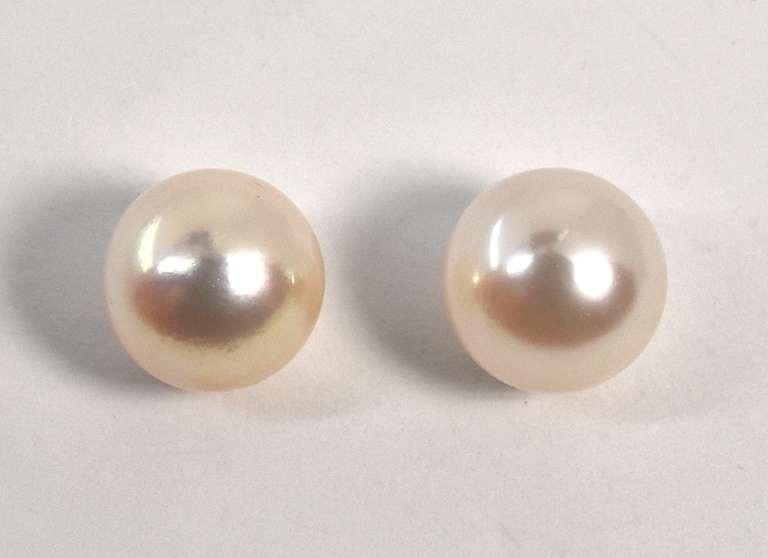 Classy Peal Stud Earrings in 14K YG