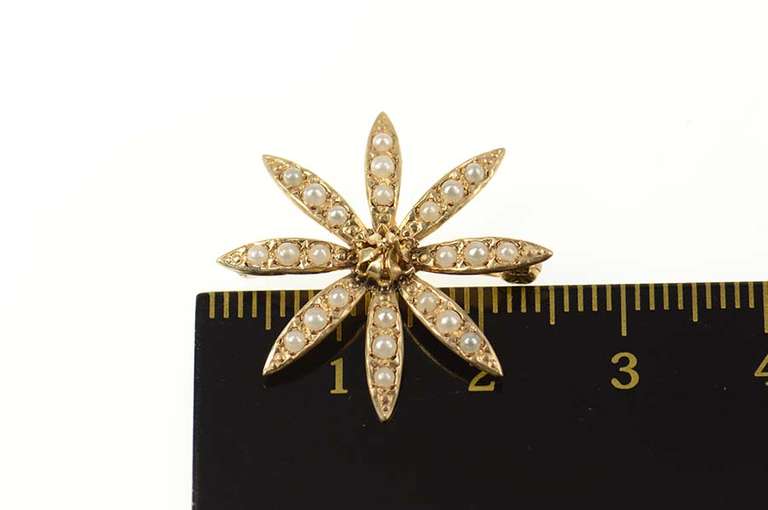 14K Yellow Gold Victorian Seed Pearl Flower Sun Classic Pin/Brooch