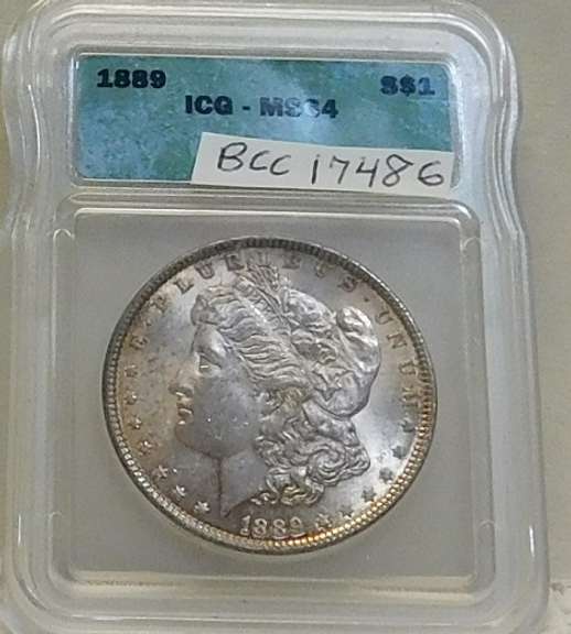 1889 Morgan Dol ICG MS-64 color