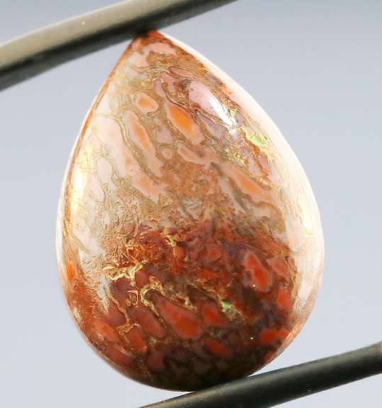 Marvelous 12.62ct cabochon cut from dinosaur bone