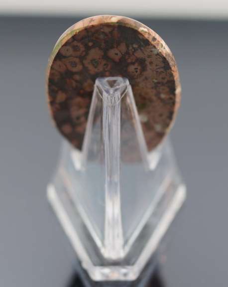 Stunning 48.78ct Brazilian Leopard Skin Jasper