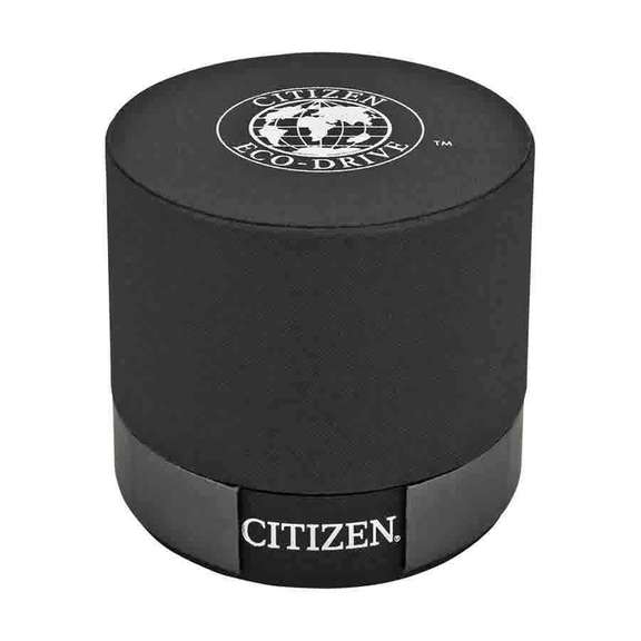 Citizen Black Dial Eco-Drive Pilots Watch