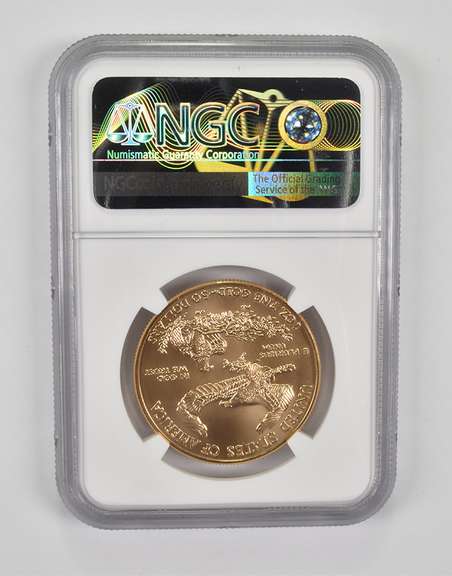 MS70 2017-W $50 Burnished American Gold Eagle - Graded NGC