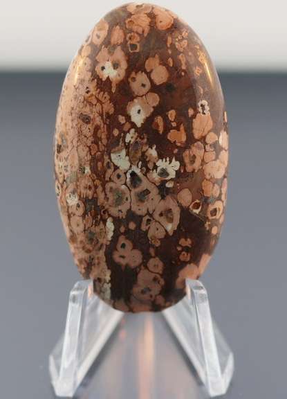 Stunning 48.78ct Brazilian Leopard Skin Jasper