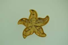Gold Tone Star Fish With Yellow Stone Brooch