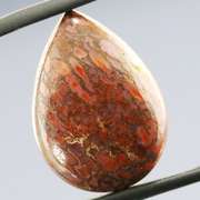 Marvelous 12.62ct cabochon cut from dinosaur bone