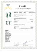 Fantastic White Gold Tsavorite Garnet and Diamond Hook earrings
