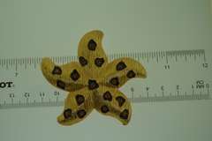 Gold Tone Star Fish With Yellow Stone Brooch