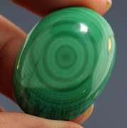 Full bullseye! 58.36ct untreated Green Malachite