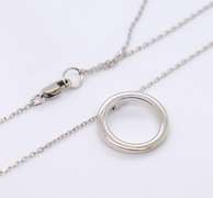 Favorite White Gold Circle Pendant on Chain