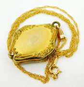 Beautiful Early Gold Filled Diamond Locket & Chain