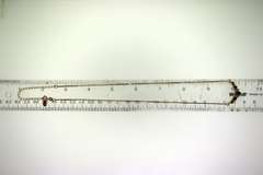 Italian Sterling Silver Blue Sapphire V Necklace