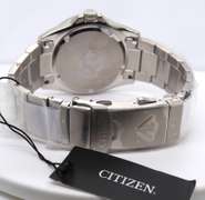 Citizen Diver's 200M Eco Drive Watch