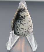 Exotic 10.61ct Turkish Dendrite Opal