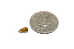 Brilliant Natural Brown Diamond