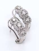 Cute White Gold Diamond Cluster Earrings