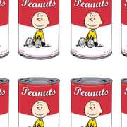 Peanuts Can