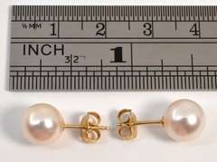 Classy Peal Stud Earrings in 14K YG