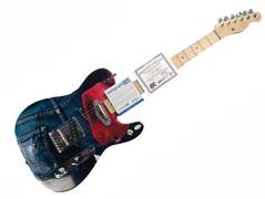 Bruce Springsteen Signed Born In The USA Album Lp Cd Fender Graphics Guitar ACOA