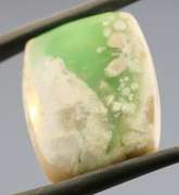 Neat 12.97ct multi-colored Crandallite and Variscite cabochon