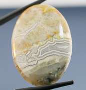 Highly figurative 61.92ct crazy lace Agate